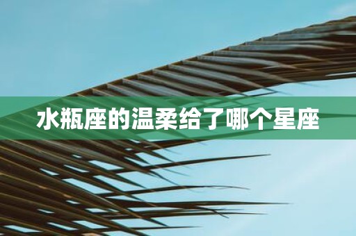 水瓶座的温柔给了哪个星座