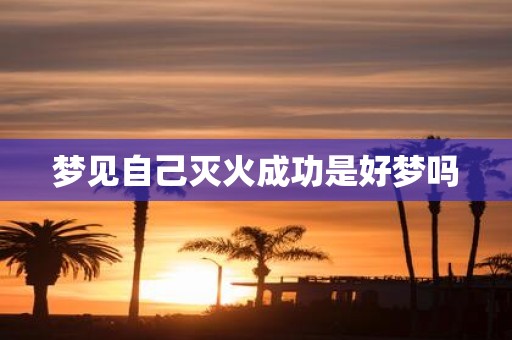梦见自己灭火成功是好梦吗