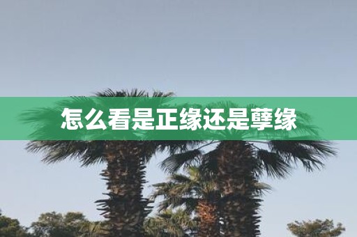 怎么看是正缘还是孽缘