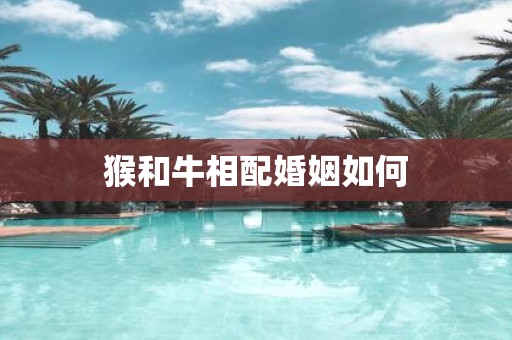 猴和牛相配婚姻如何