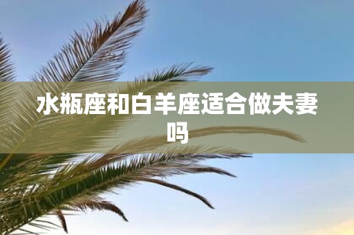 水瓶座和白羊座适合做夫妻吗