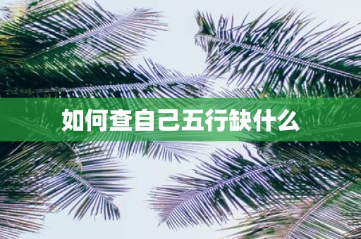 如何查自己五行缺什么