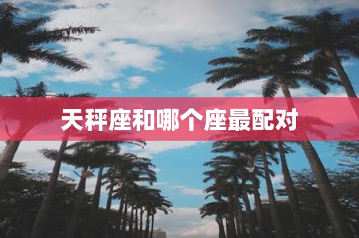 天秤座和哪个座最配对