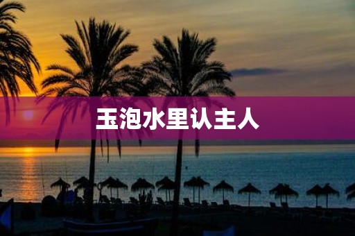 玉泡水里认主人