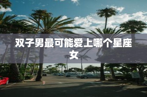 双子男最可能爱上哪个星座女