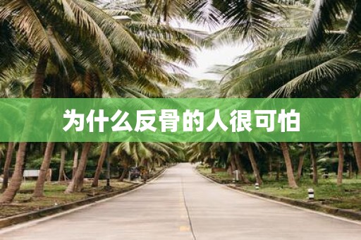 为什么反骨的人很可怕