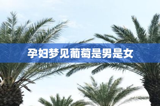 孕妇梦见葡萄是男是女