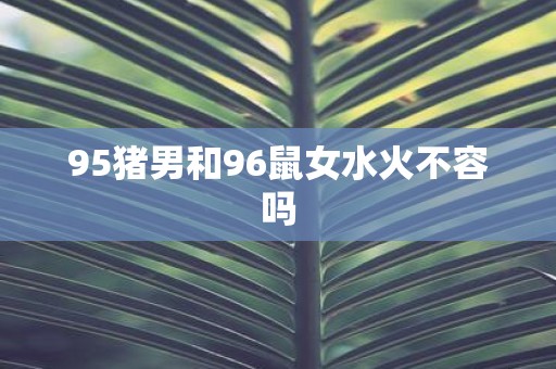 95猪男和96鼠女水火不容吗