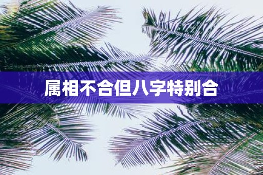属相不合但八字特别合