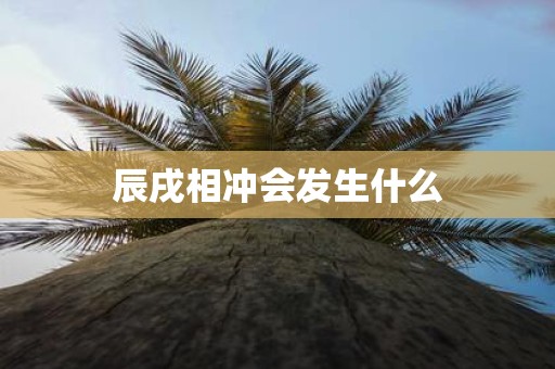 辰戌相冲会发生什么