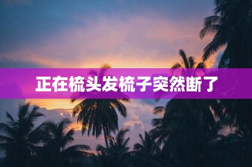 正在梳头发梳子突然断了