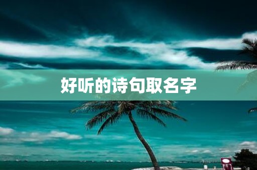 好听的诗句取名字