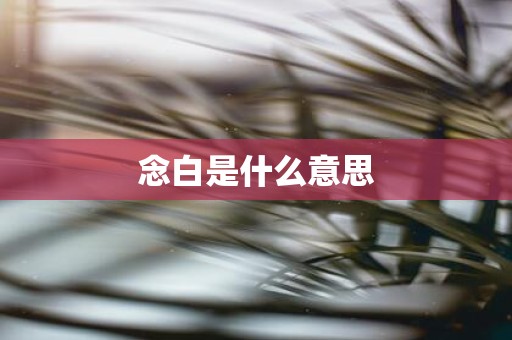 念白是什么意思