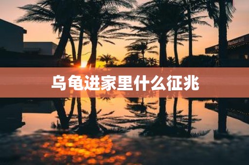 乌龟进家里什么征兆
