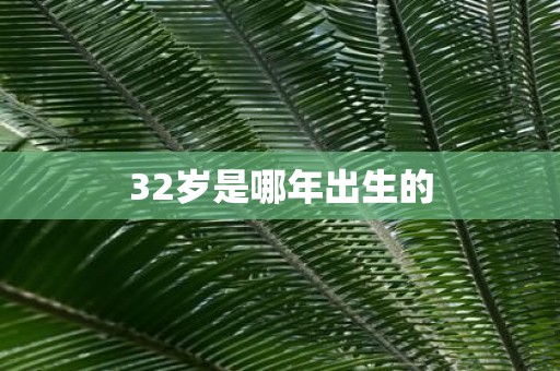 32岁是哪年出生的