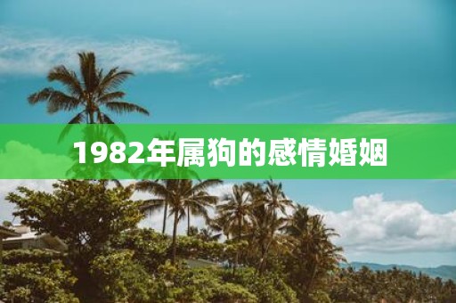 1982年属狗的感情婚姻