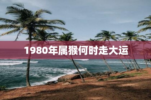 1980年属猴何时走大运