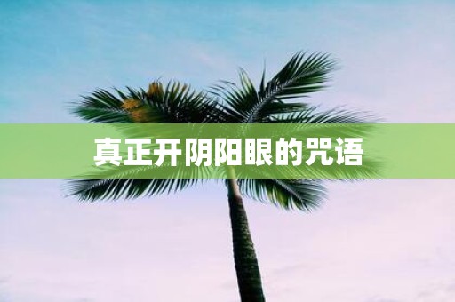 真正开阴阳眼的咒语