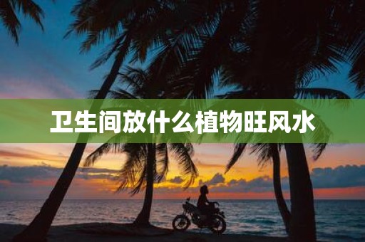 卫生间放什么植物旺风水