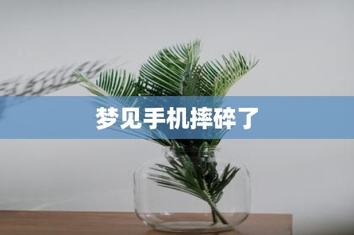 梦见手机摔碎了