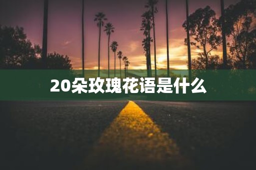 20朵玫瑰花语是什么