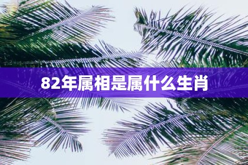 82年属相是属什么生肖