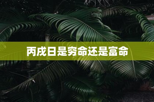 丙戌日是穷命还是富命