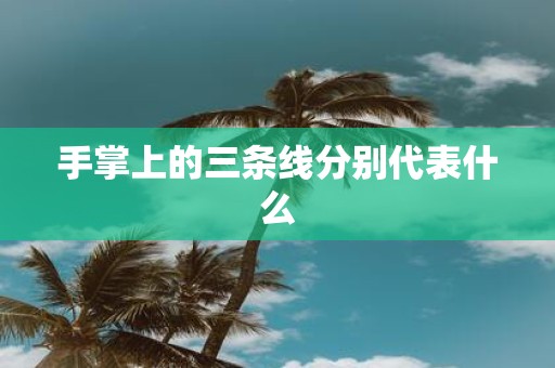 手掌上的三条线分别代表什么
