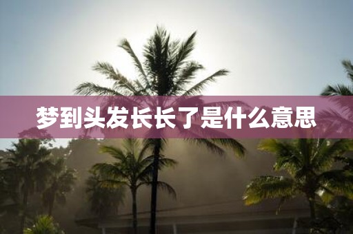 梦到头发长长了是什么意思