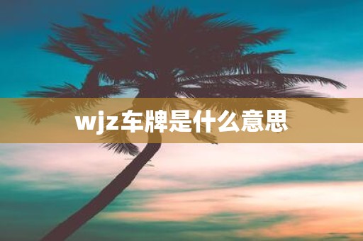 wjz车牌是什么意思