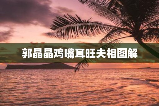 郭晶晶鸡嘴耳旺夫相图解