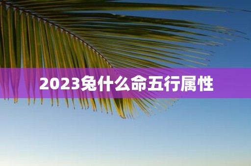 2025兔什么命五行属性