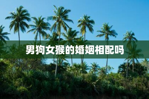 男狗女猴的婚姻相配吗
