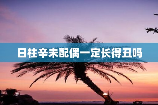 日柱辛未配偶一定长得丑吗