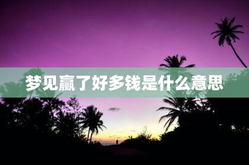 梦见赢了好多钱是什么意思