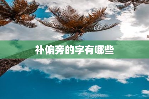 补偏旁的字有哪些