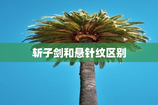 斩子剑和悬针纹区别