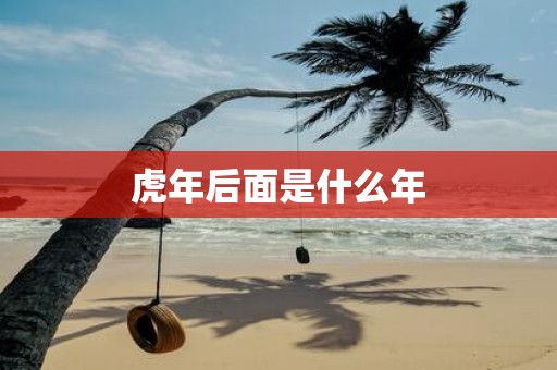 虎年后面是什么年