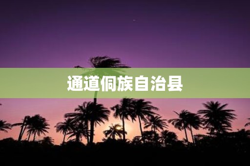 通道侗族自治县