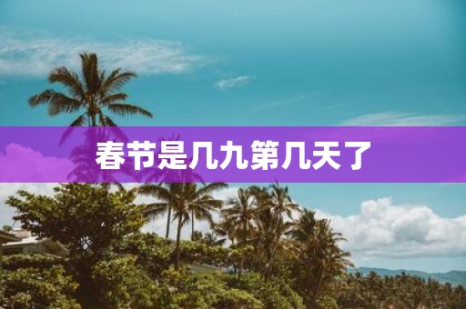 春节是几九第几天了