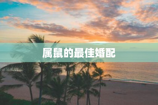 属鼠的最佳婚配
