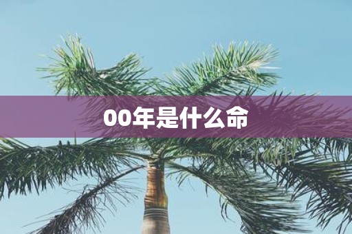 00年是什么命