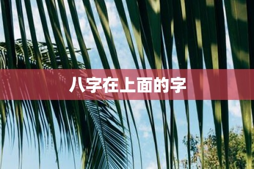 八字在上面的字