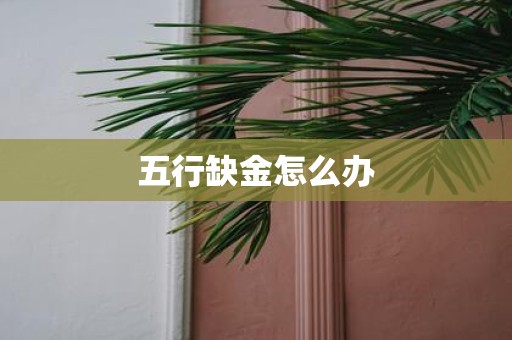 五行缺金怎么办