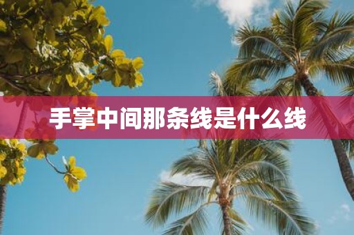 手掌中间那条线是什么线