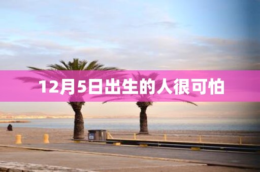 12月5日出生的人很可怕