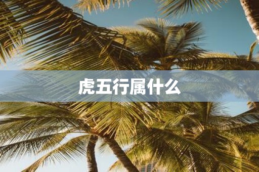 虎五行属什么