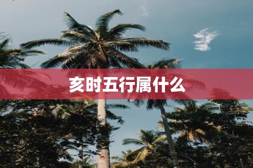 亥时五行属什么