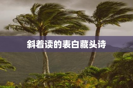 斜着读的表白藏头诗