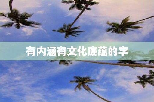 有内涵有文化底蕴的字